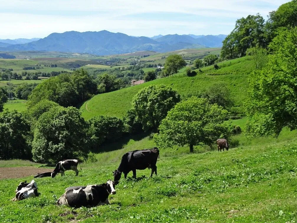 Route afbeelding slider