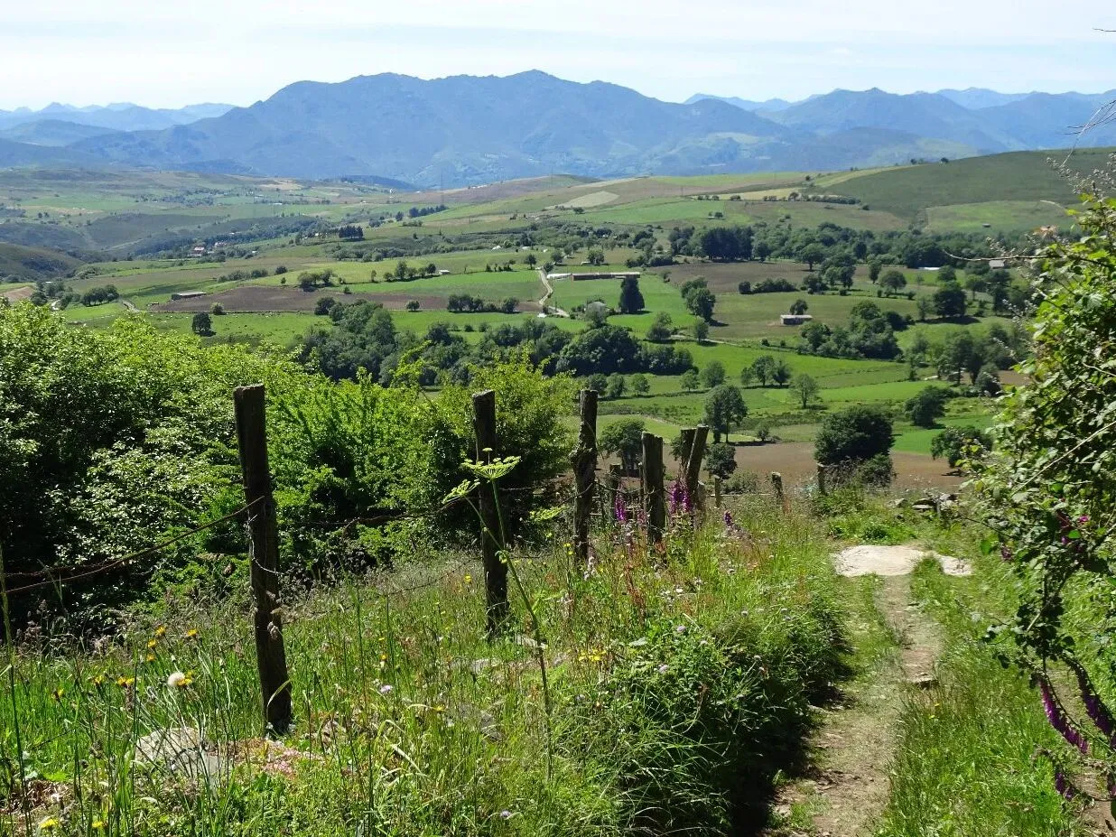 Route afbeelding slider