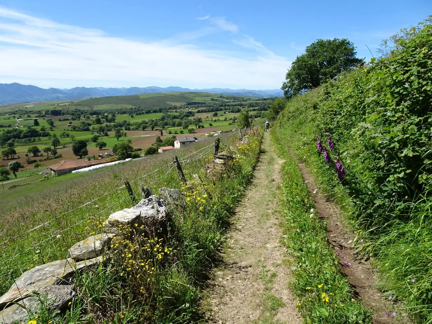 Route afbeelding slider