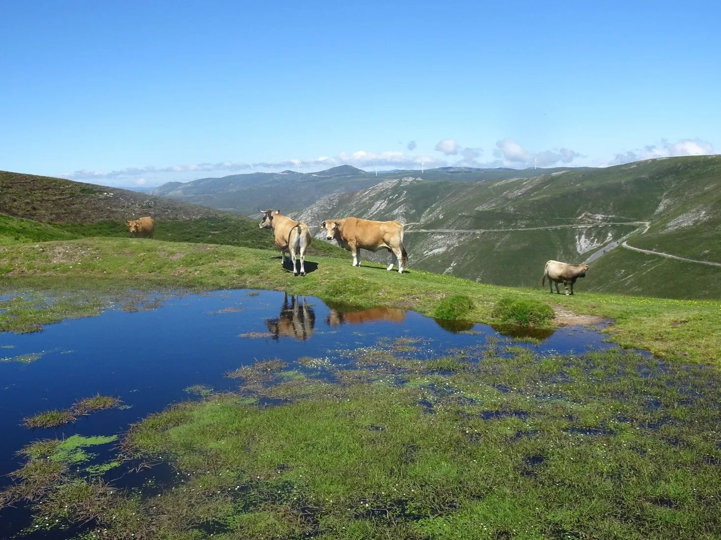 Route afbeelding slider
