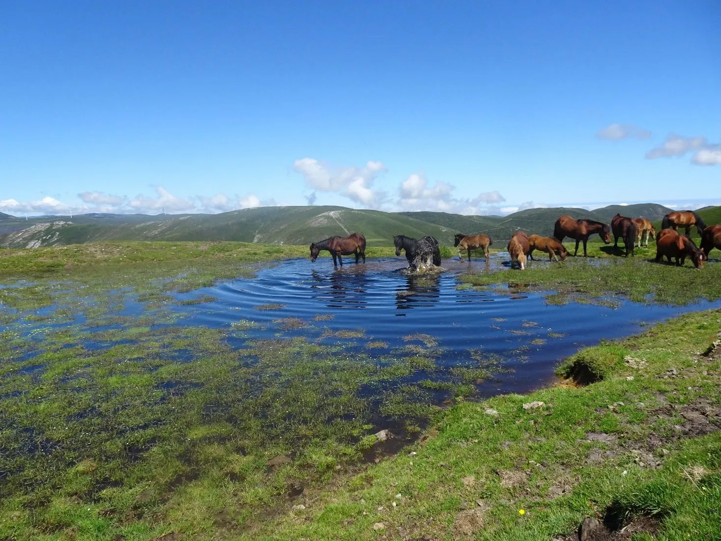 Route afbeelding slider