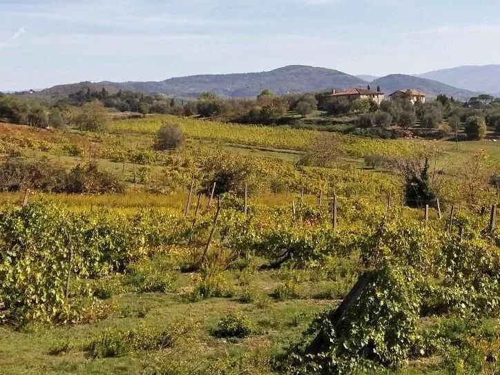 Route afbeelding slider