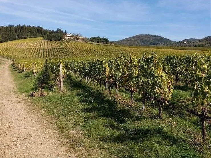 Route afbeelding slider