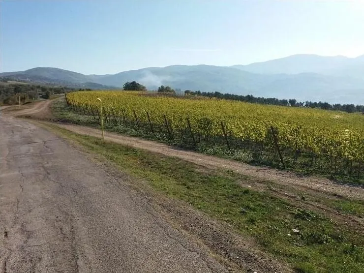 Route afbeelding slider