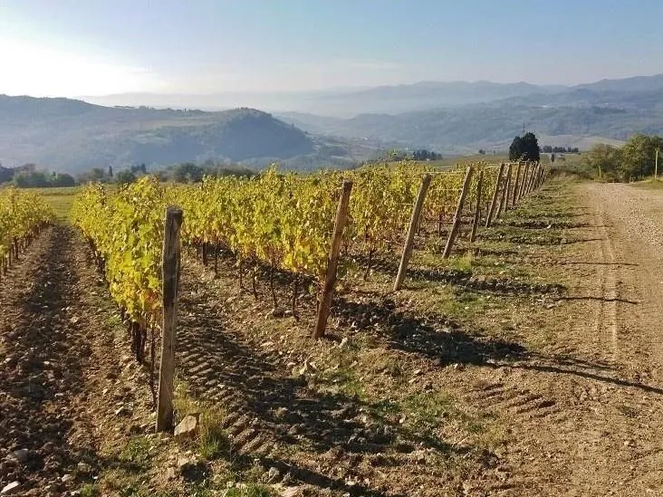 Route afbeelding slider