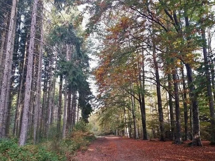 Route afbeelding slider