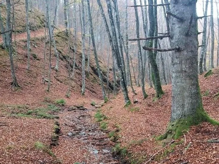 Route afbeelding slider