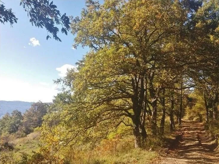 Route afbeelding slider