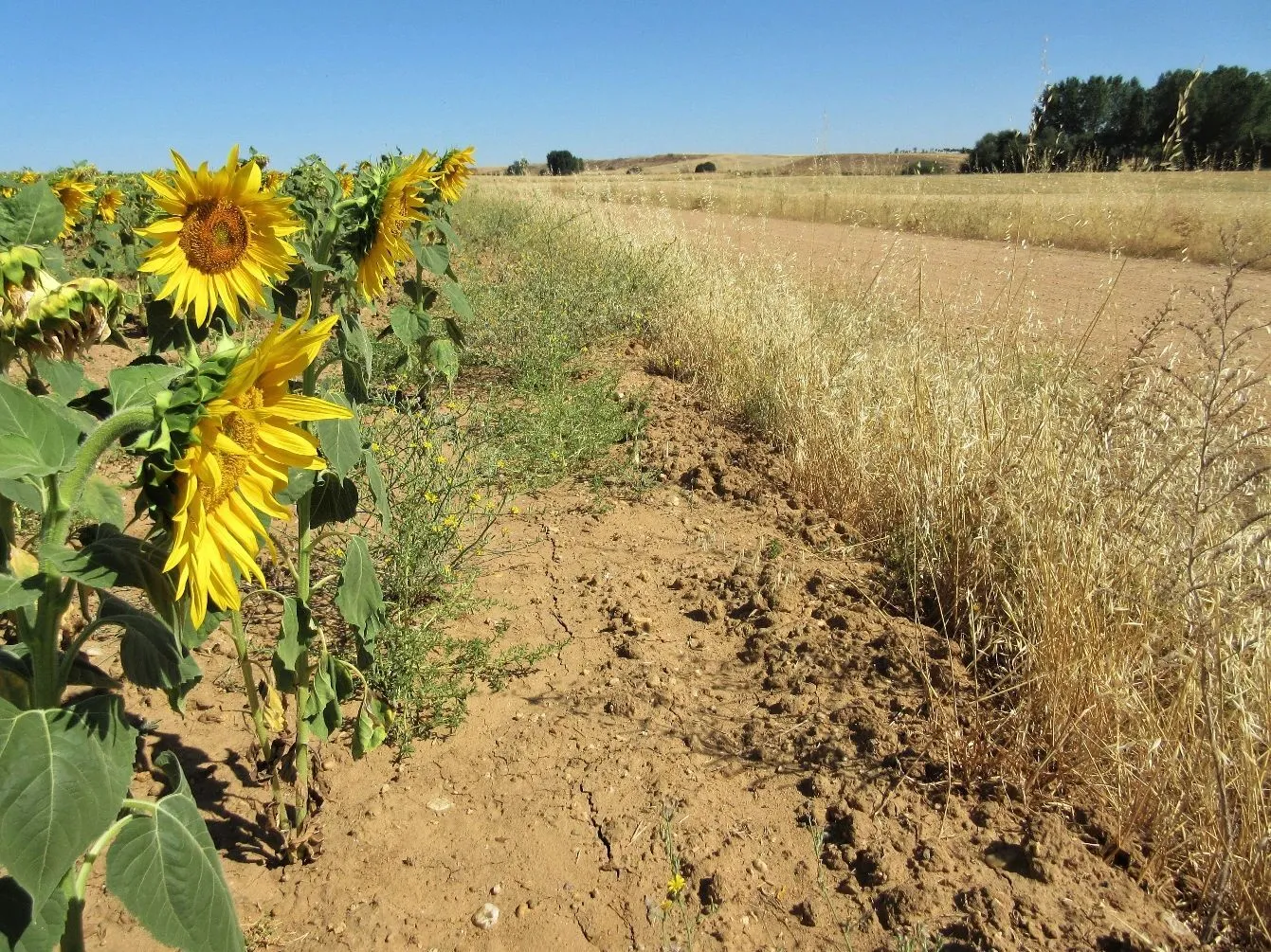 Route afbeelding slider