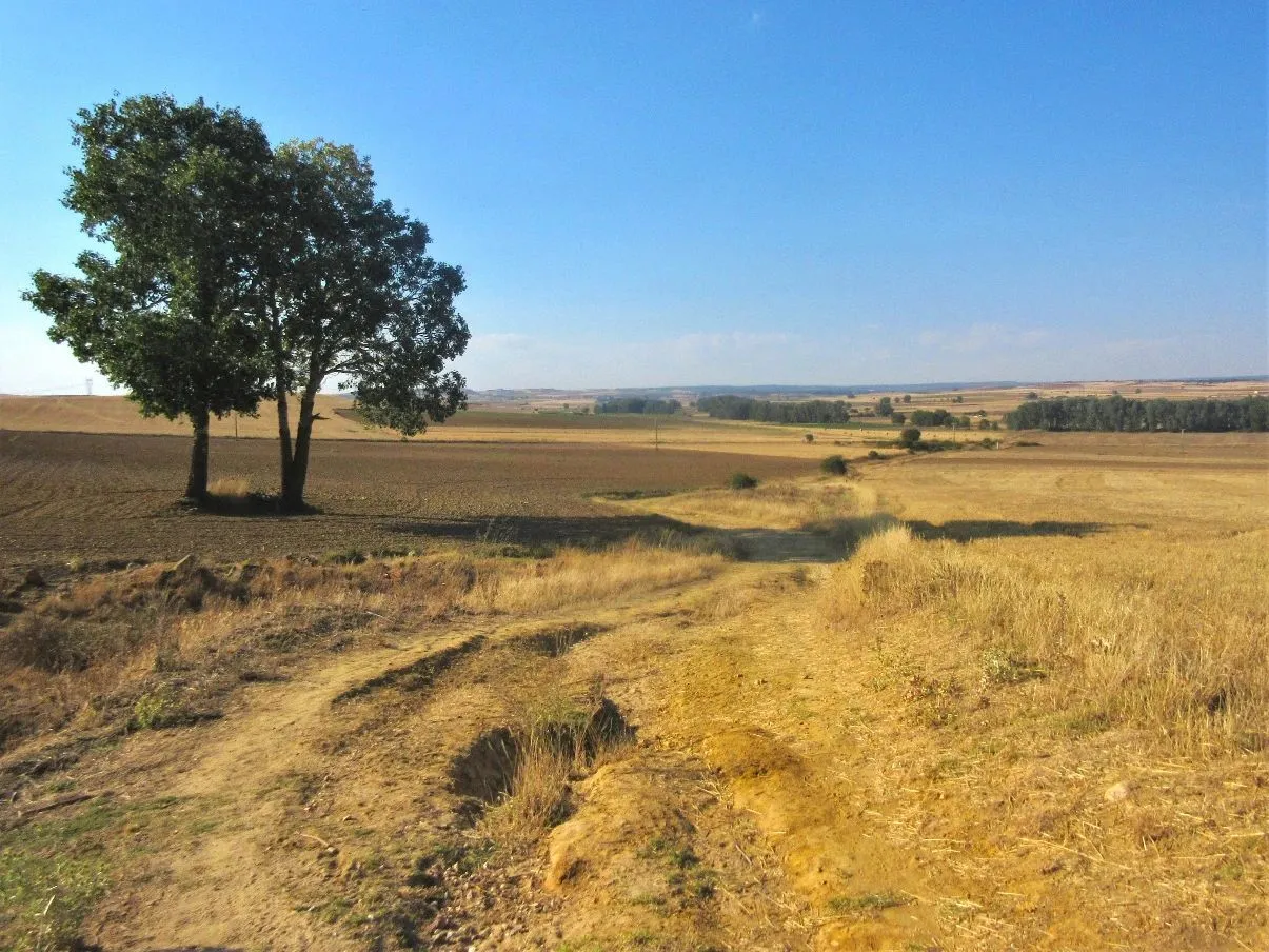 Route afbeelding slider