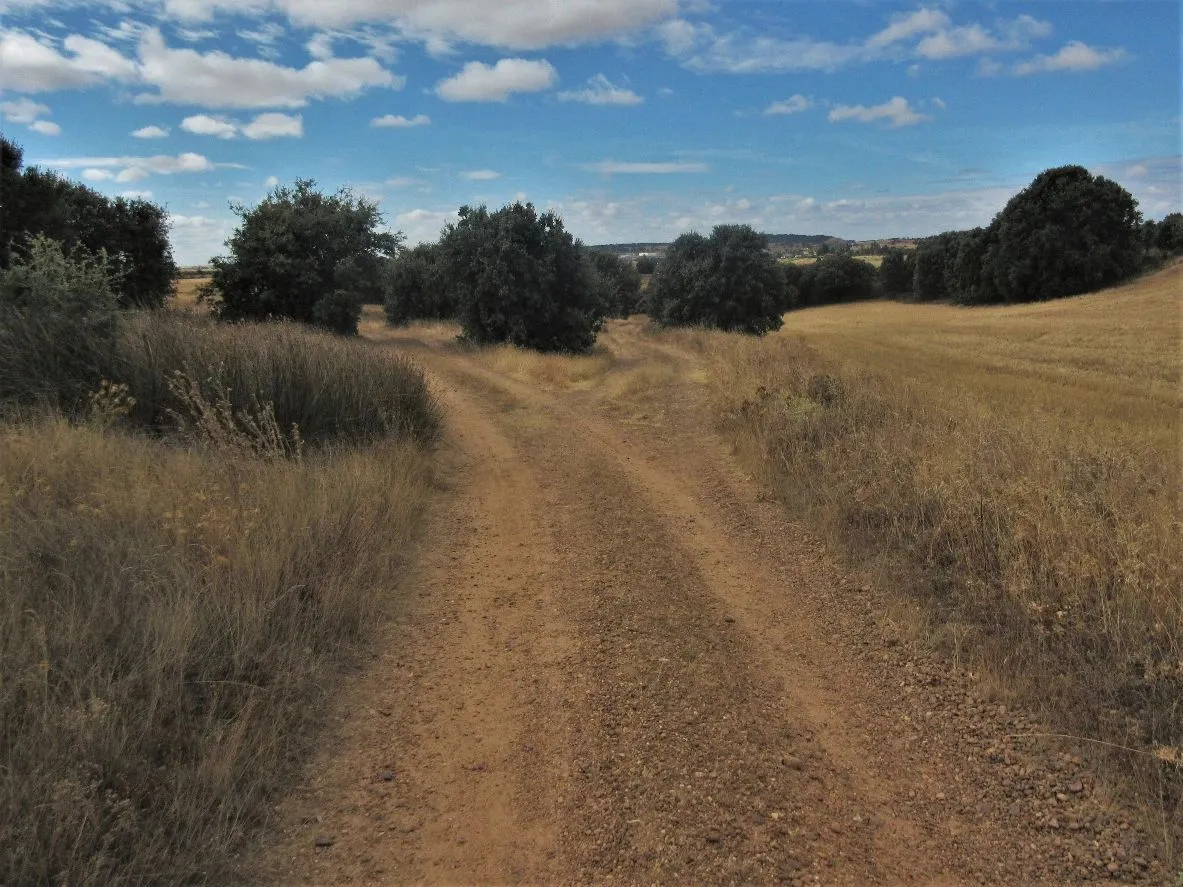 Route afbeelding slider