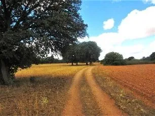 Route afbeelding slider