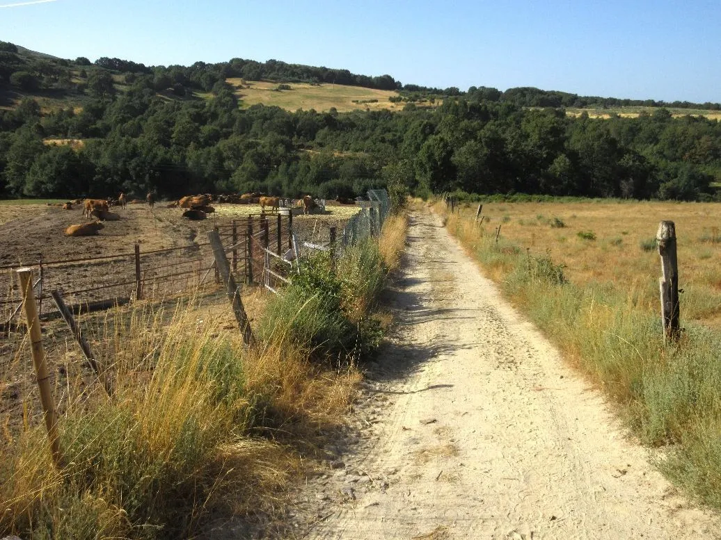 Route afbeelding slider