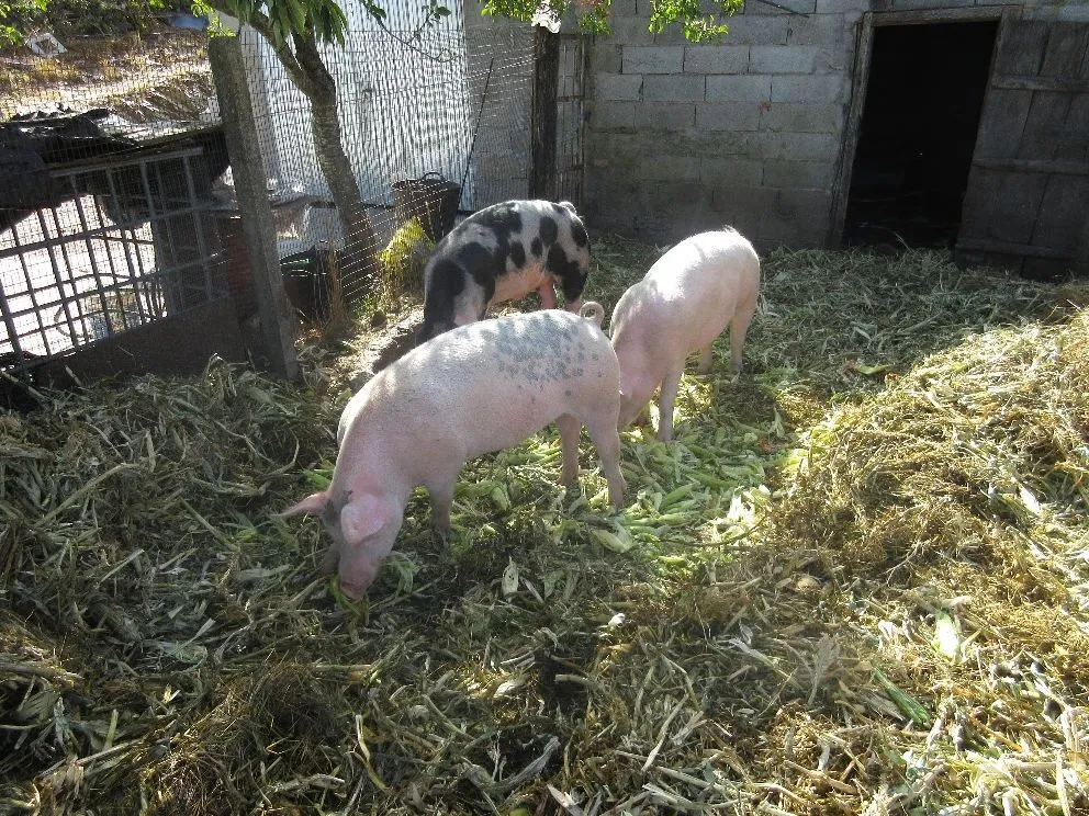 Route afbeelding slider