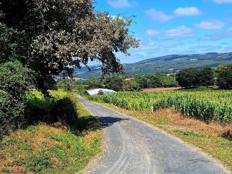 Route afbeelding slider