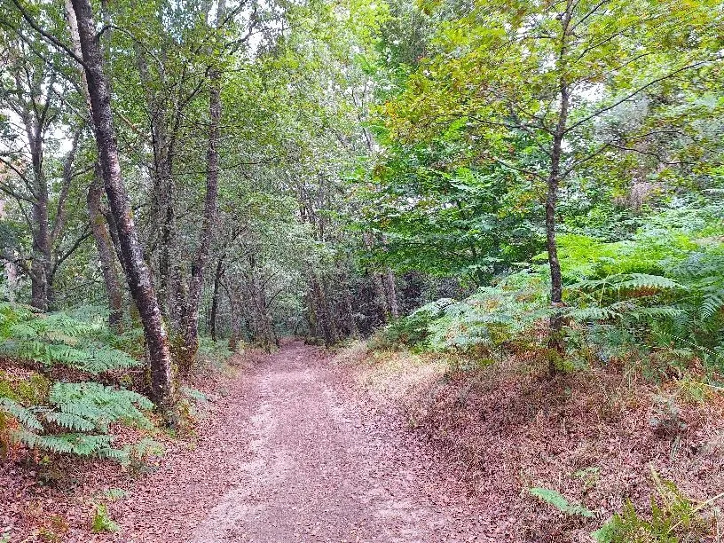 Route afbeelding slider