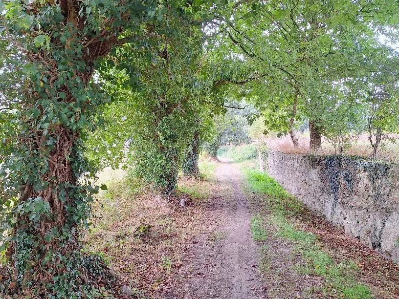 Route afbeelding slider