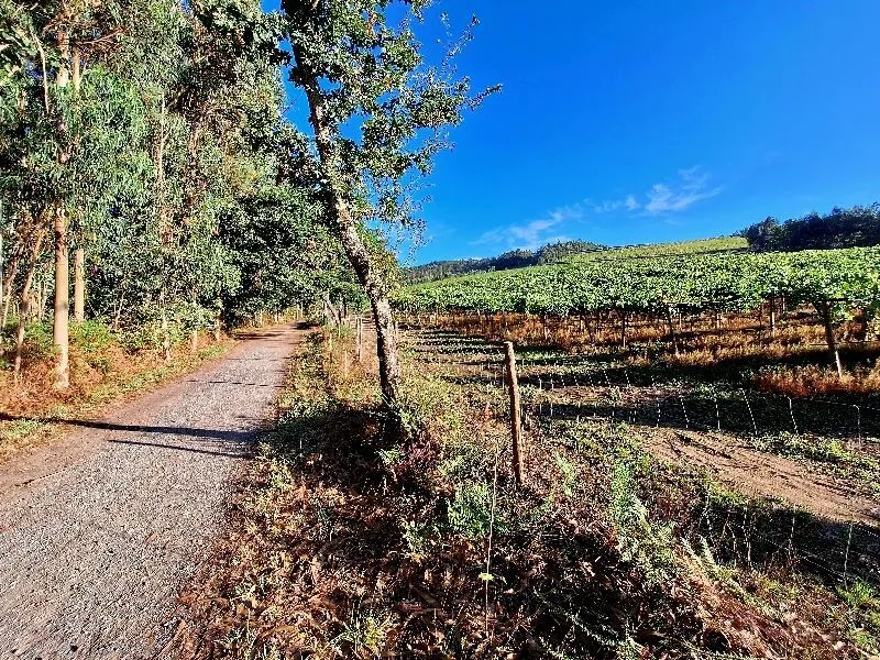 Route afbeelding slider