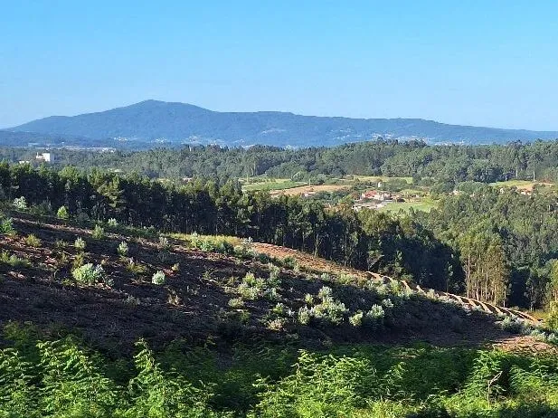 Route afbeelding slider