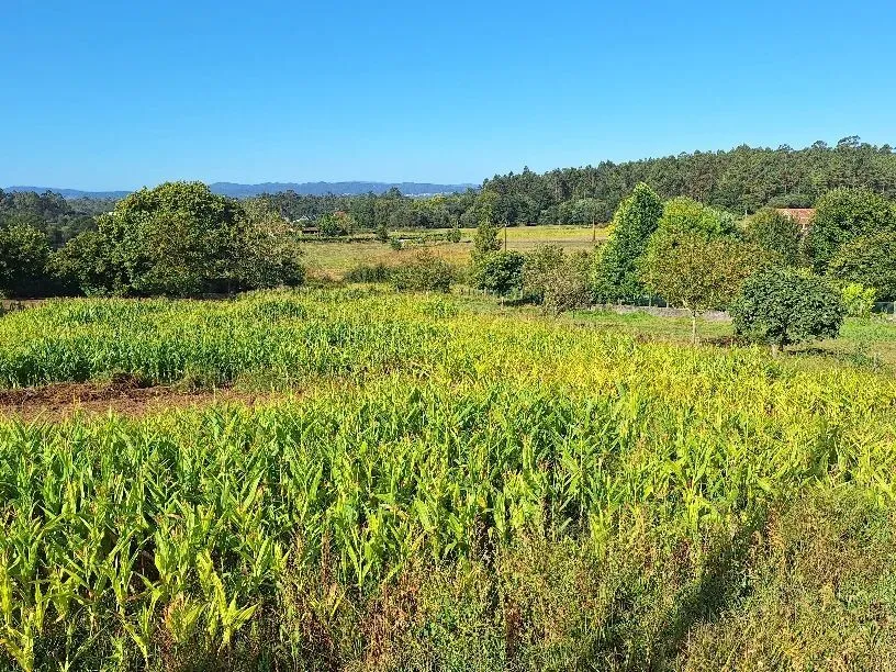 Route afbeelding slider