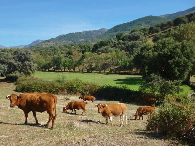 Route afbeelding slider